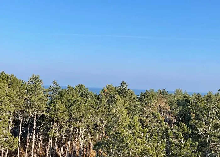 Klif Shellter * Rogowo (Gryfice)